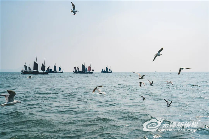 以“綠”為底 山水生“金”，無(wú)錫鐵腕“治太”“繡”出生態(tài)新城